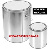 Vopsea pentru asfalt si beton neagra